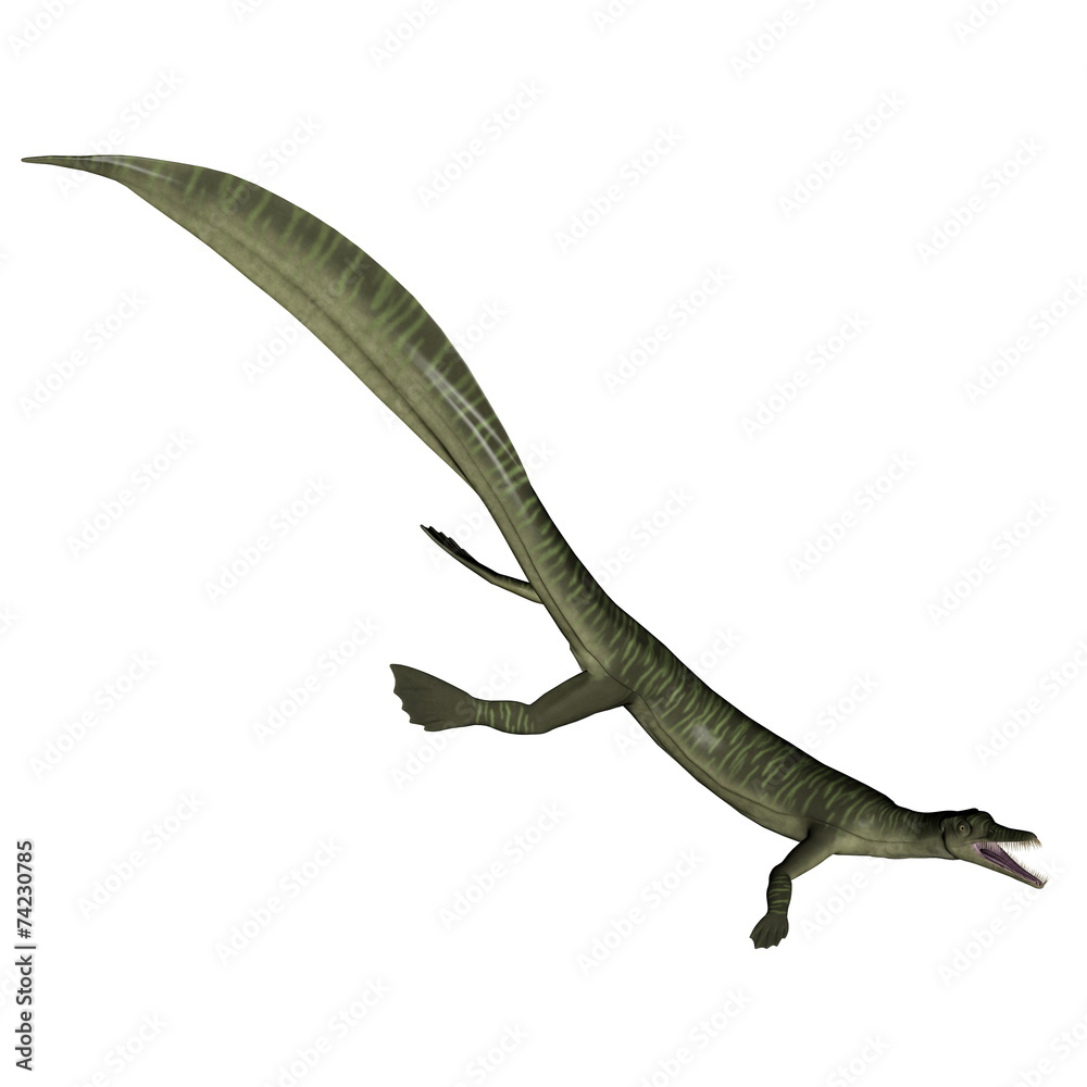 Mesosaurus dinosaur - 3D render Mesosaurus dinosaur - 3D render