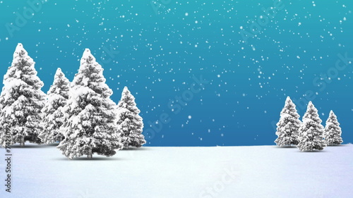 Christmas Trees and Snow
