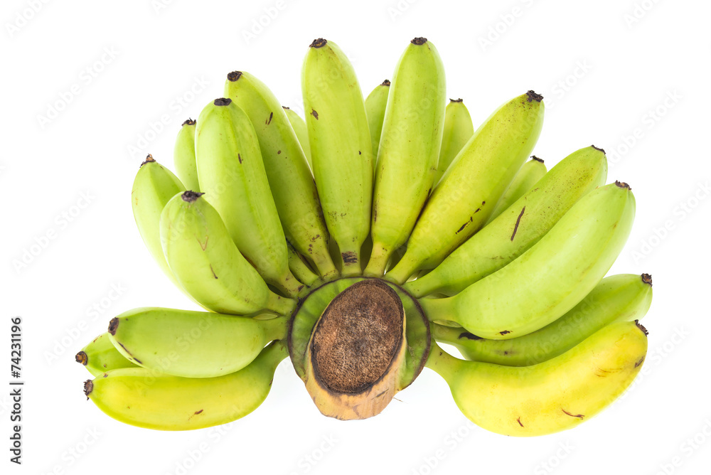 Green banana isolated