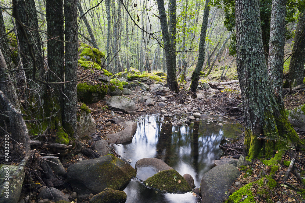 Arroyo en el Valle de Iruelas. Ávila Arroyo en el Valle de Iruelas. Ávila