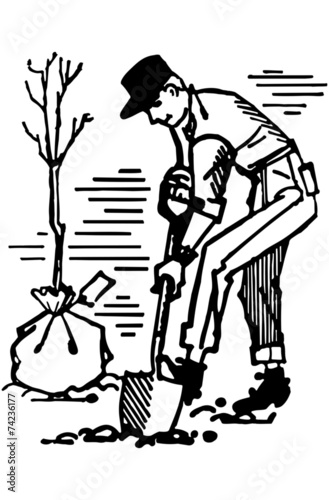 Man Planting Tree