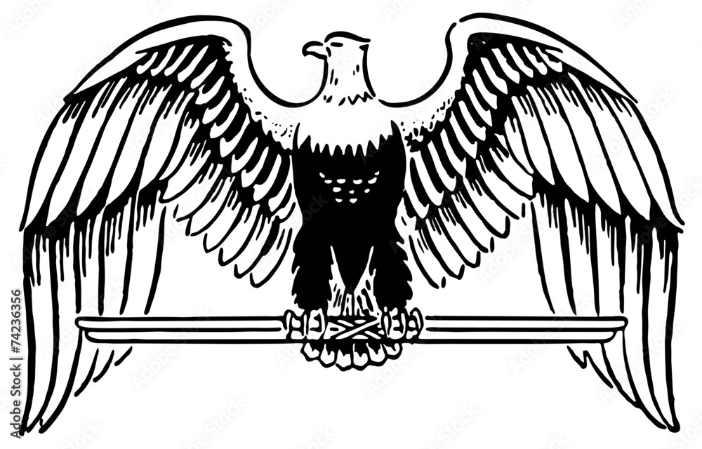 Obraz premium Majestic Eagle