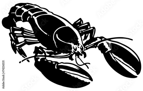 Lobster