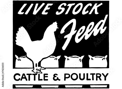 Live Stock Feed