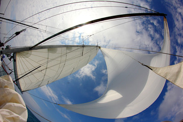 Fotobehang Zeilen Bolle zeilen vol met wind  © komi$ar
