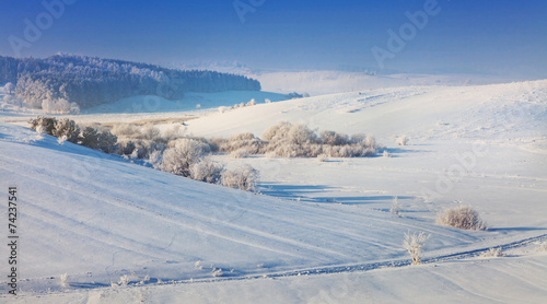 winter landscape © serkucher