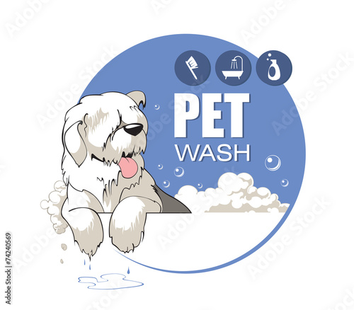 Pet  Wash