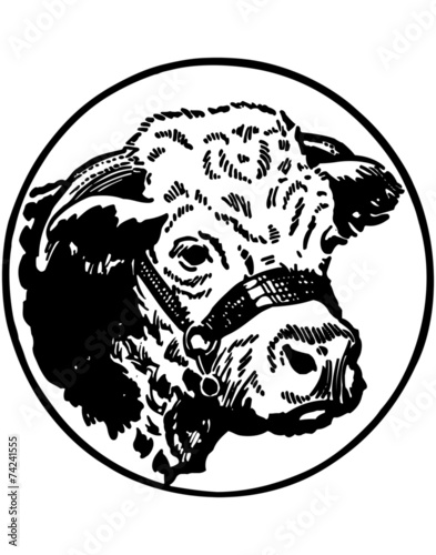 Cows Head