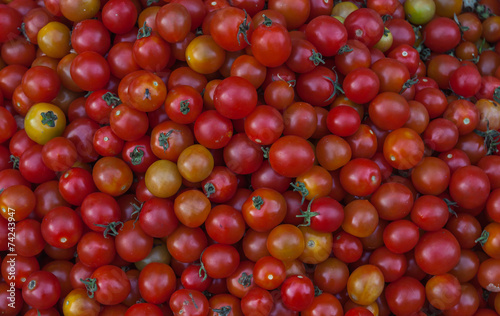 Group of fresh tomatoes in the market,Thailand.