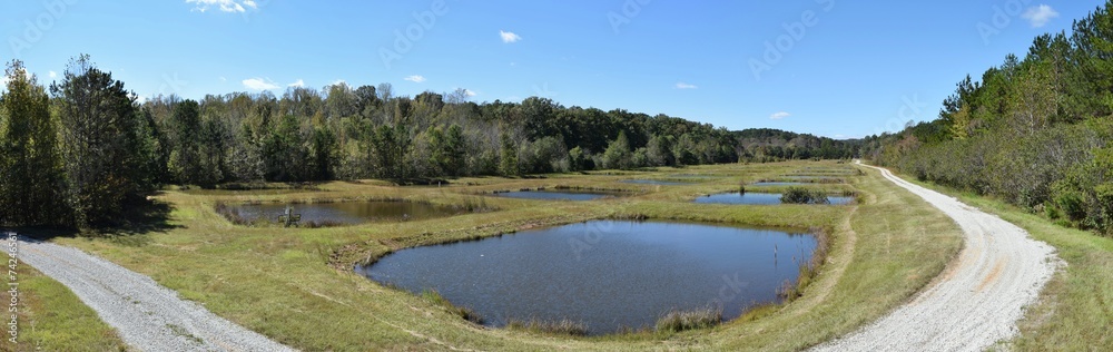Ponds at the University of Mississippi Field Station Ponds at the University of Mississippi Field Station