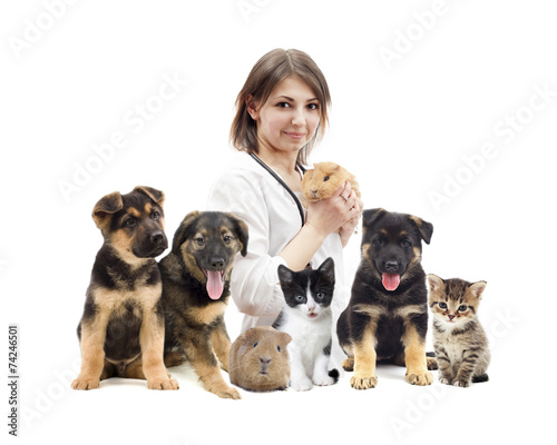 veterinarian and cat and dog