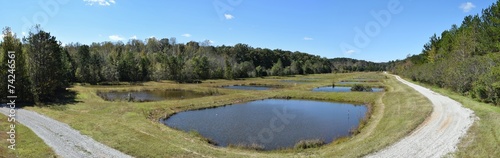 Ponds at the University of Mississippi Field Station