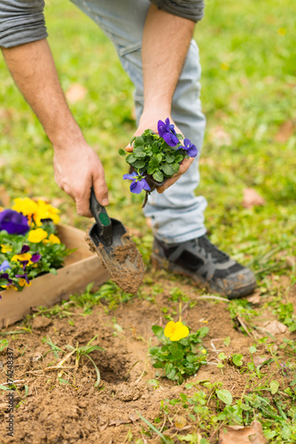 Gardener planting flowers © Stock Rocket