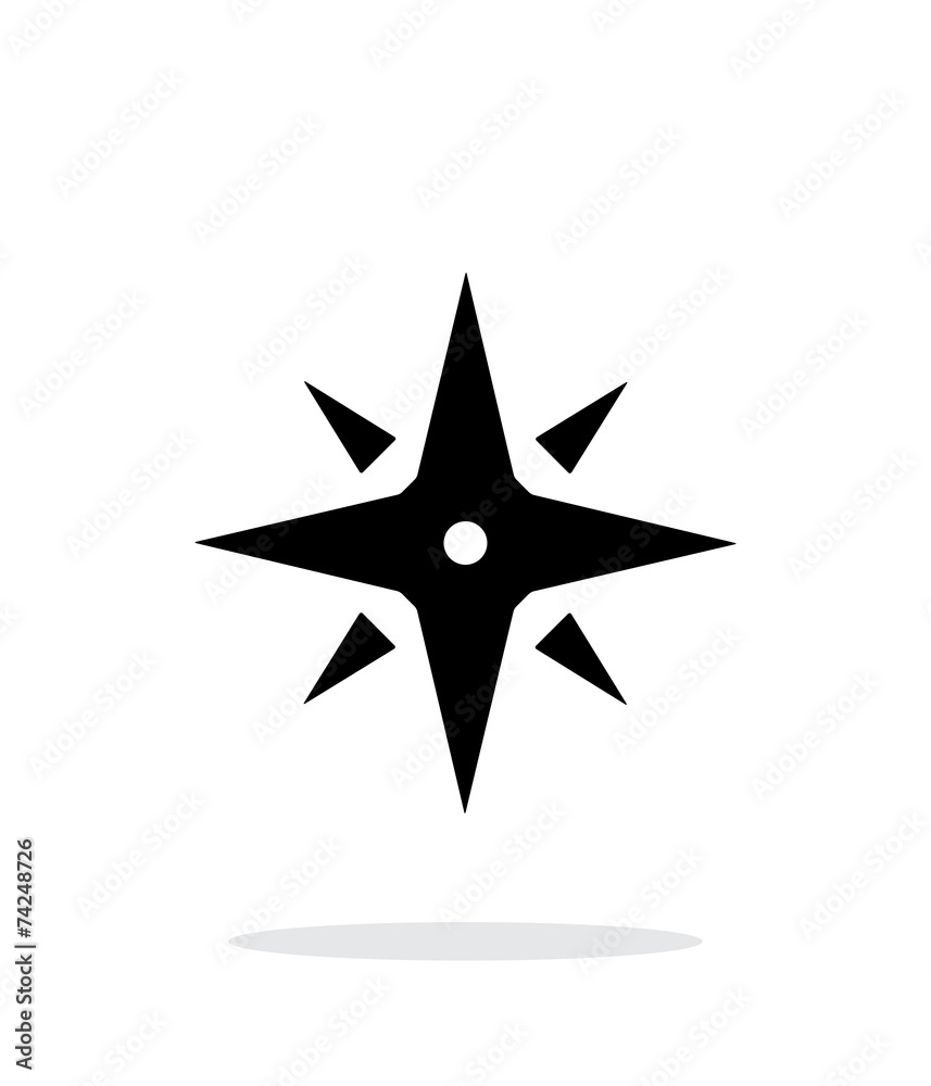 Wind rose icon on white background. Navigation sign.