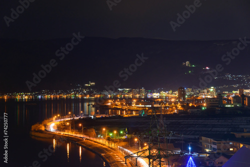 Night View of the Suwa city