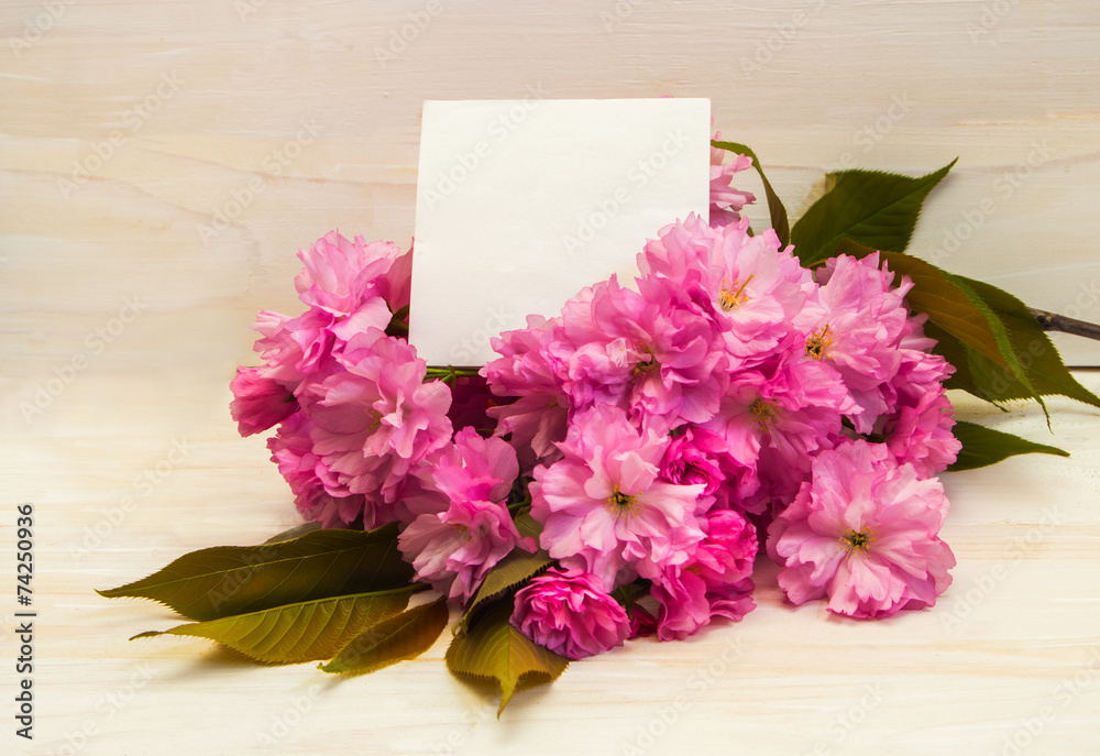 Postcard with sakura flowers. Postcard with sakura flowers.