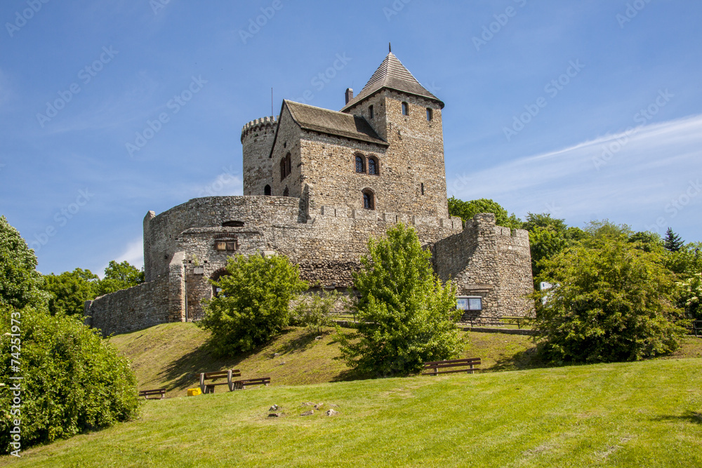 Medieval castle - Bedzin, Poland, Europe.