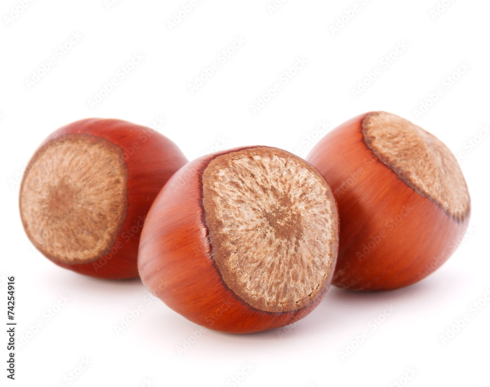 hazelnut or filbert nut isolated on white background cutout