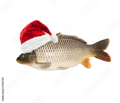 Karpfen mit Weihnachtsmütze