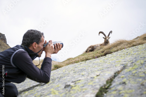 fotografo naturalista. Parco Nazionale Gran Paradiso, Italy photo