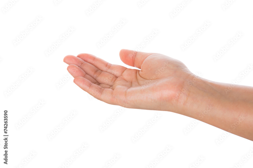 Beautiful woman hand holding isolated on white background Beautiful woman hand holding isolated on white background