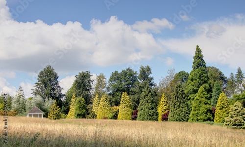 jardin anglais