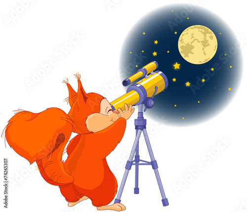 Squirrel astronomer