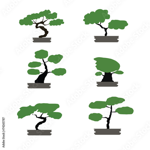 bonsai trees set japanese style isolated