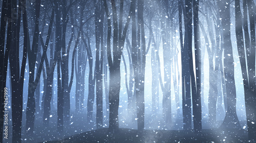 Photo Forest scene on a winters nights