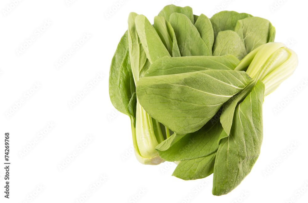 Chinese cabbage or bok choy over white background Chinese cabbage or bok choy over white background