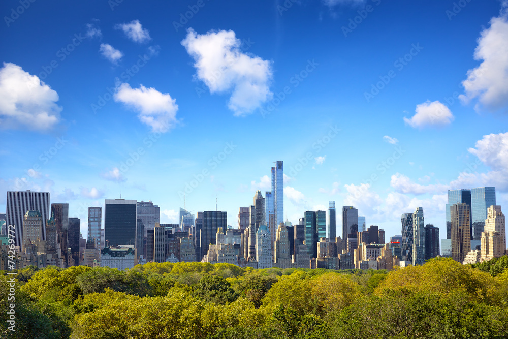 Manhattan skyline with Central Park in New York City