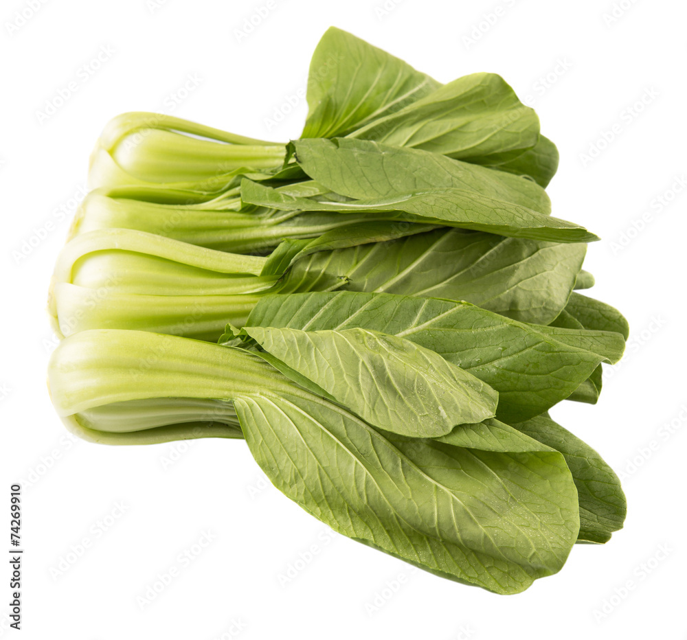 Chinese cabbage or bok choy over white background Chinese cabbage or bok choy over white background