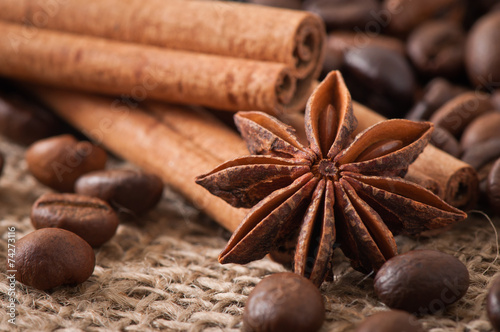 Anise, cinnamon and coffee beans on old wooden background © timolina