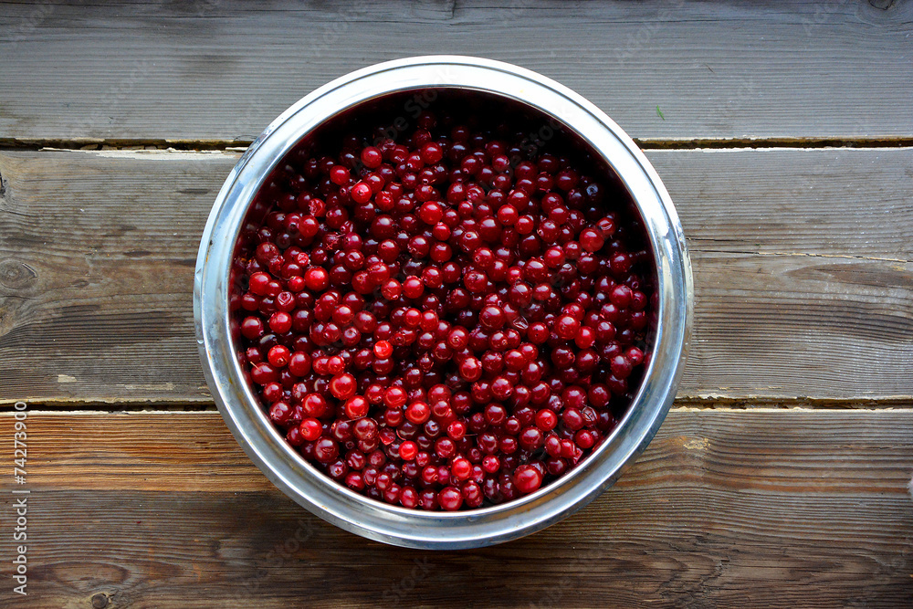 Cranberries in metallic bowl. Shot made from above. Cranberries in metallic bowl. Shot made from above.