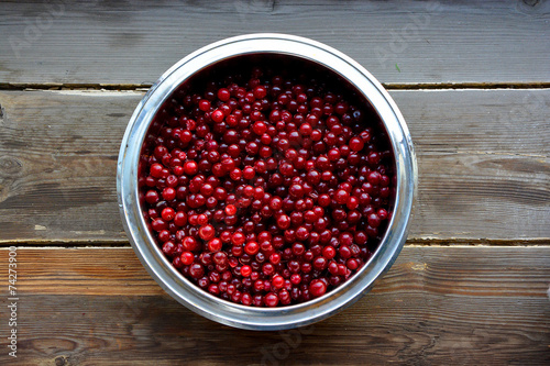 Cranberries in metallic bowl. Shot made from above.