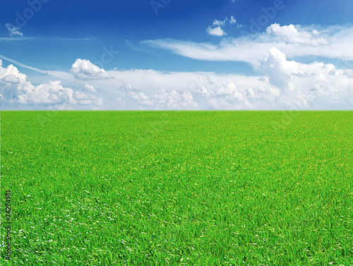 Field of grass and blue sky