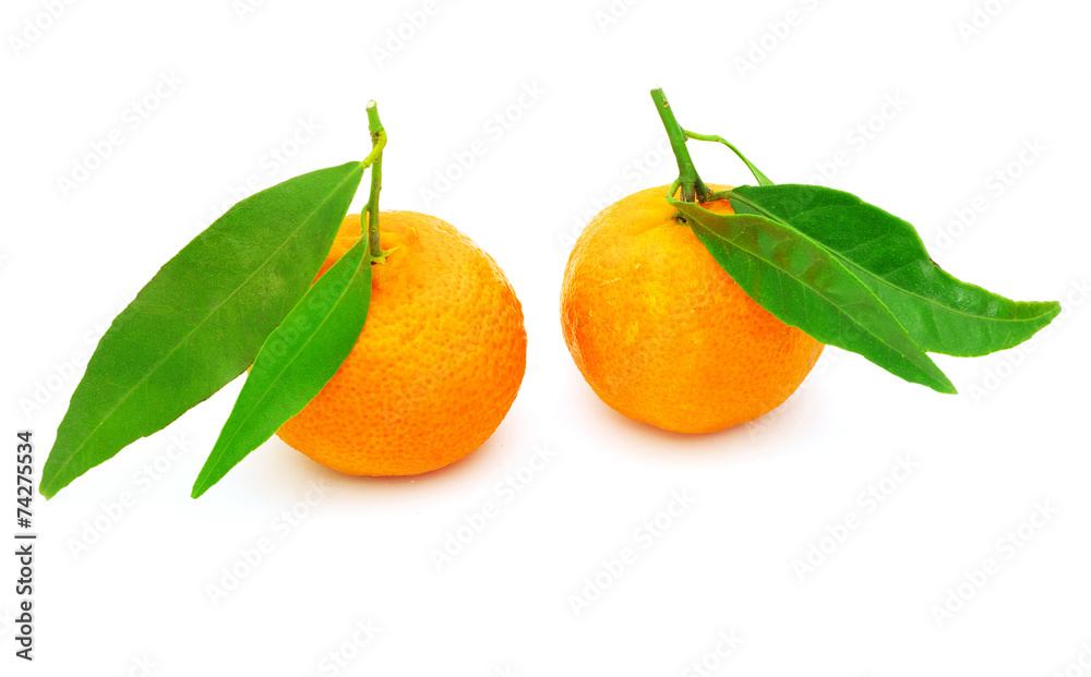 tangerine tangerine