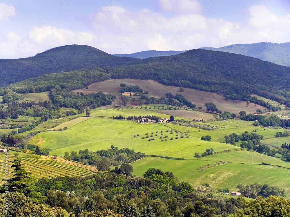 Obraz premium Tuscany landscape