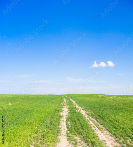 Way Through the Green Path