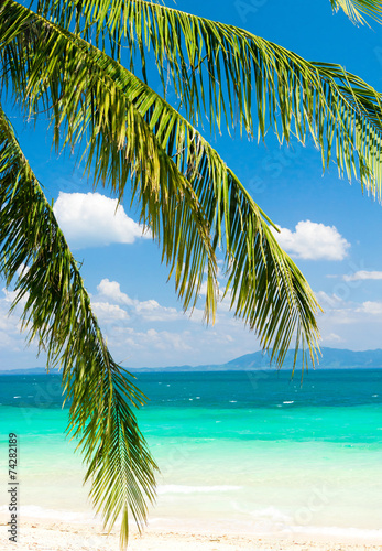 Fototapeta Naklejka Na Ścianę i Meble -  Coconut Getaway Island Lagoon