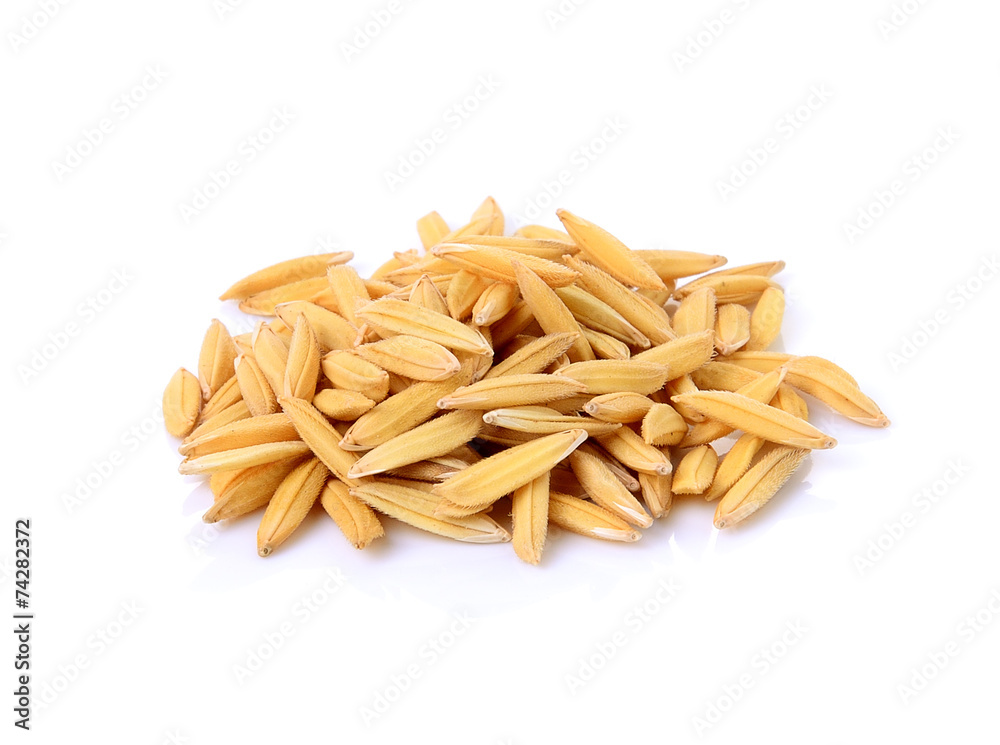 paddy jasmine rice on white background paddy jasmine rice on white background