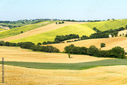 Marches (Italy): summer landscape © Claudio Colombo