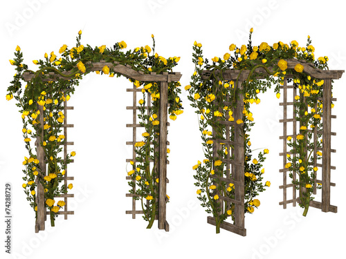 Naklejka Romantic arbor with yellow roses