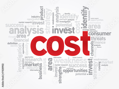 Word cloud of COST related items, vector