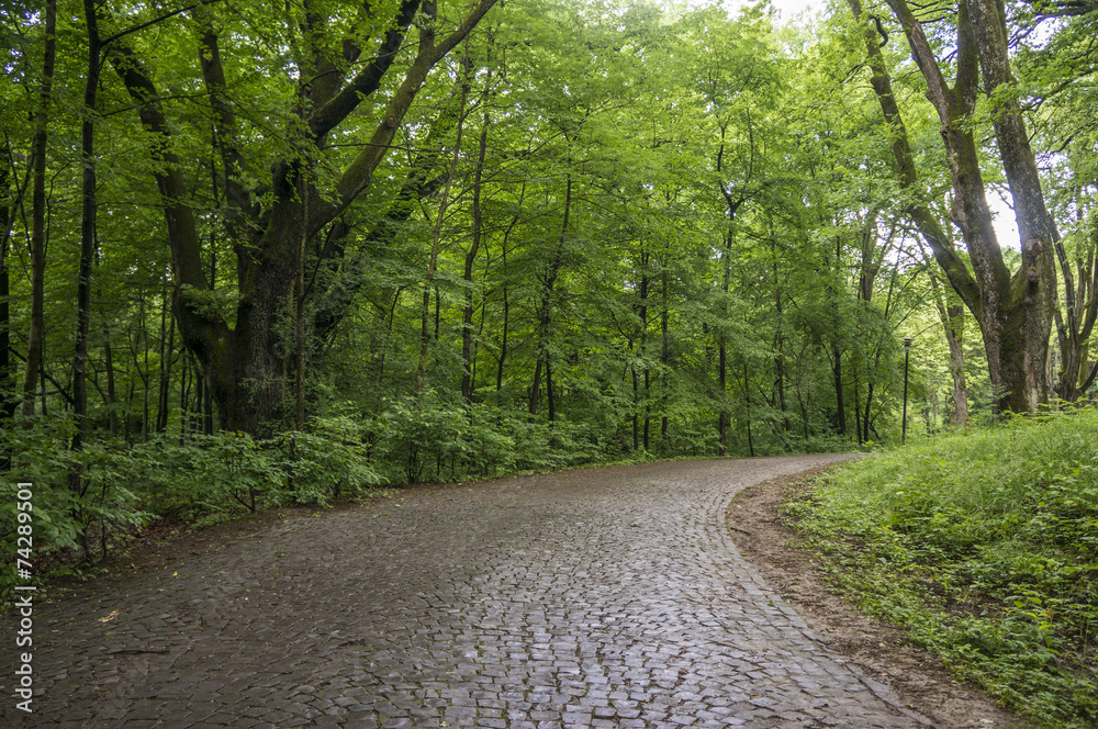 Obraz premium City Park