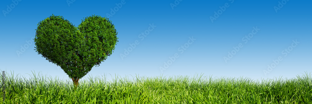 Heart shape tree on green grass field. Love symbol, banner - obrazy, fototapety, plakaty 