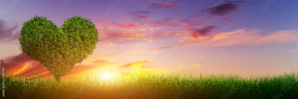 Heart shape tree on grass field at sunset. Love, panorama - obrazy, fototapety, plakaty 