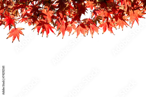 Autumn Leaf With Beautiful Autumn Background