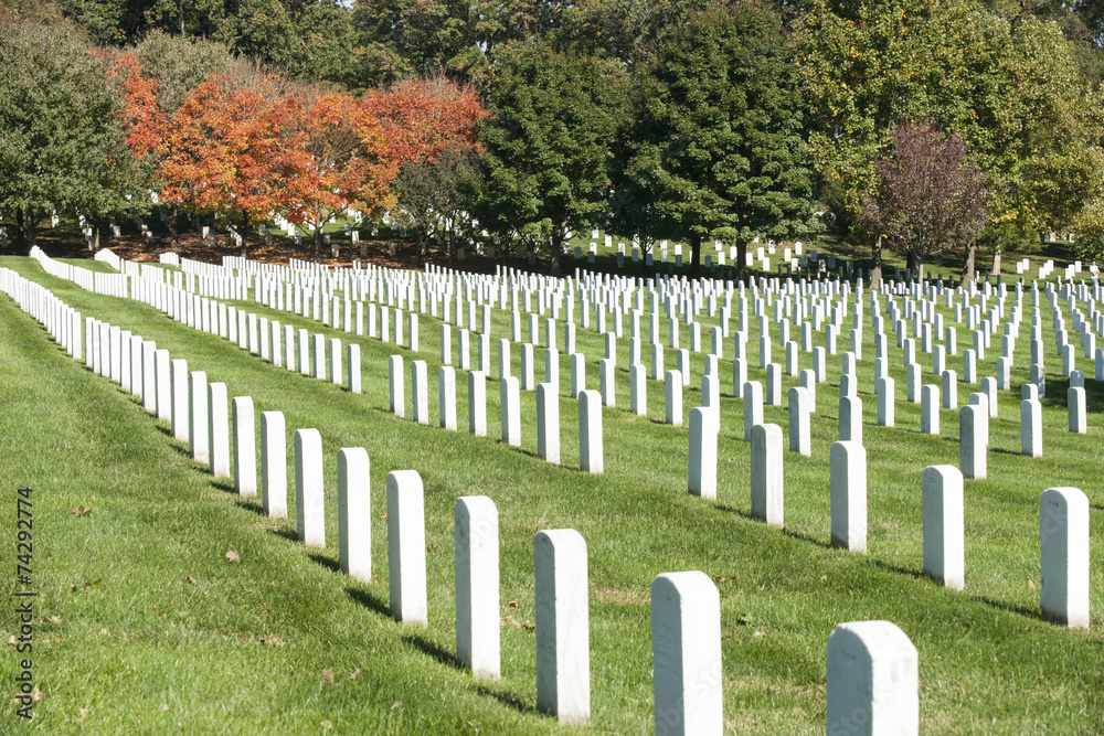 Headstone rows at Arlington National Cemetery,