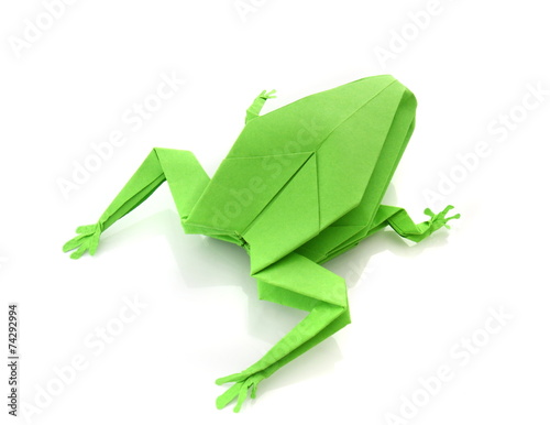 Foto .origami green frog
